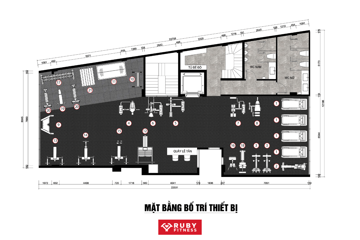 Thiết kế 2D phòng gym 200 - 250m2