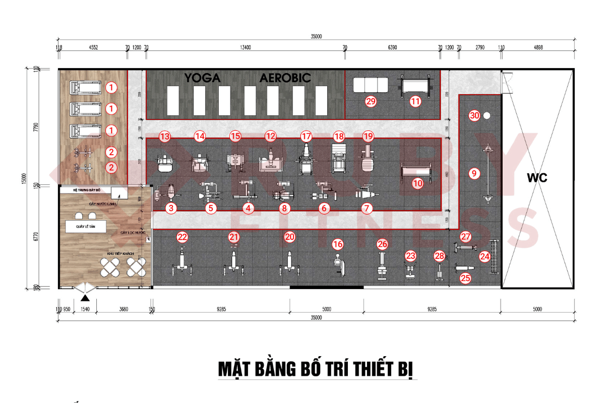 thiết kế 2D setup phòng gym 500m2