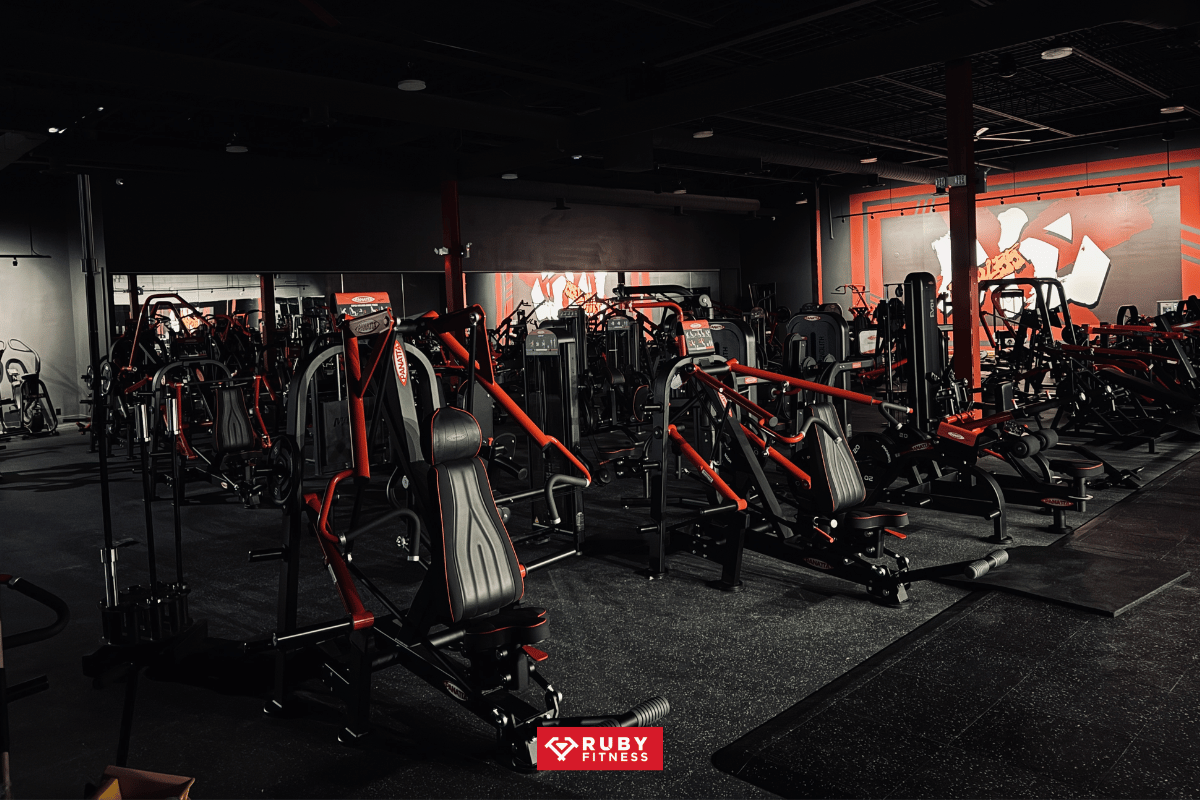 Giới thiệu tổng quan về Wu Fitness
