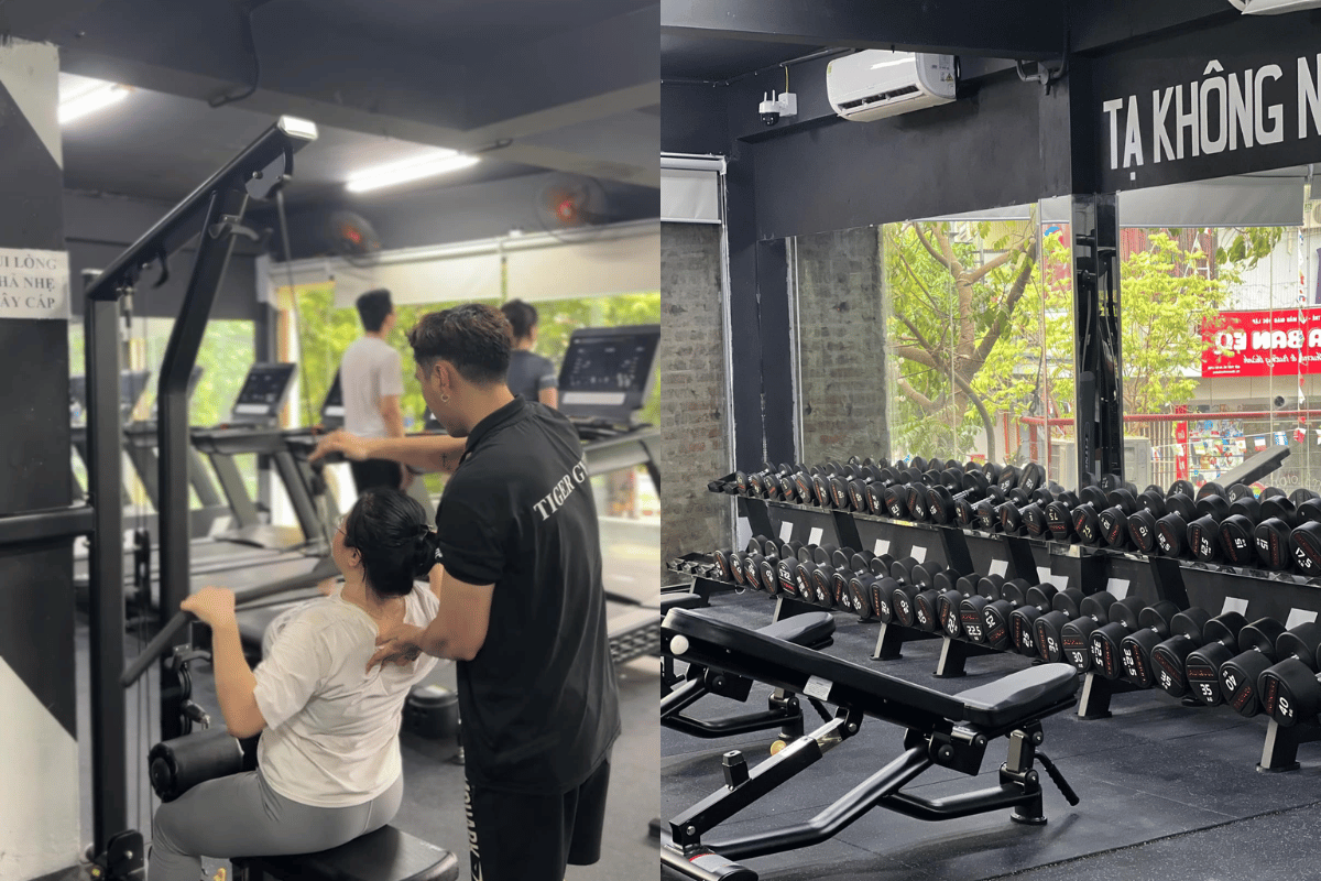 Tiger Gym Số 1 Đa sỹ