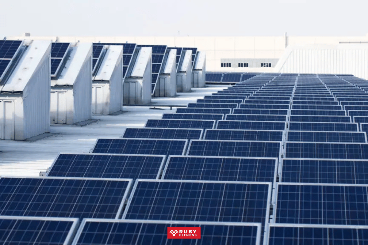 Đột phá hệ sinh thái_ tập luyện bền vững