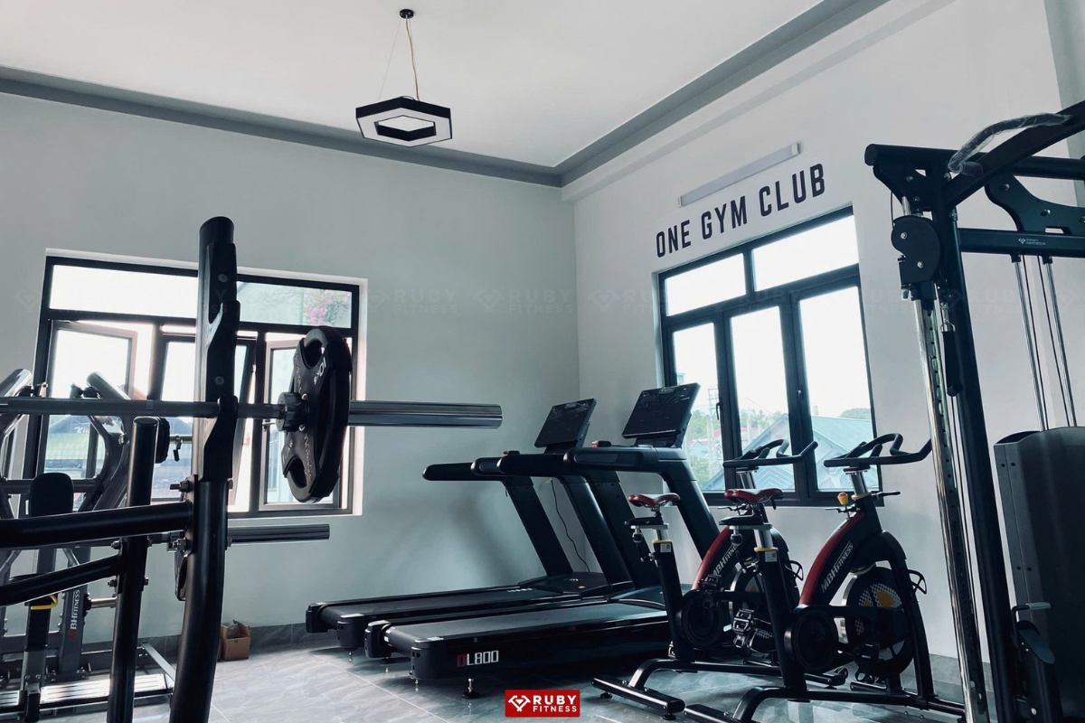 Máy chạy bộ DL800