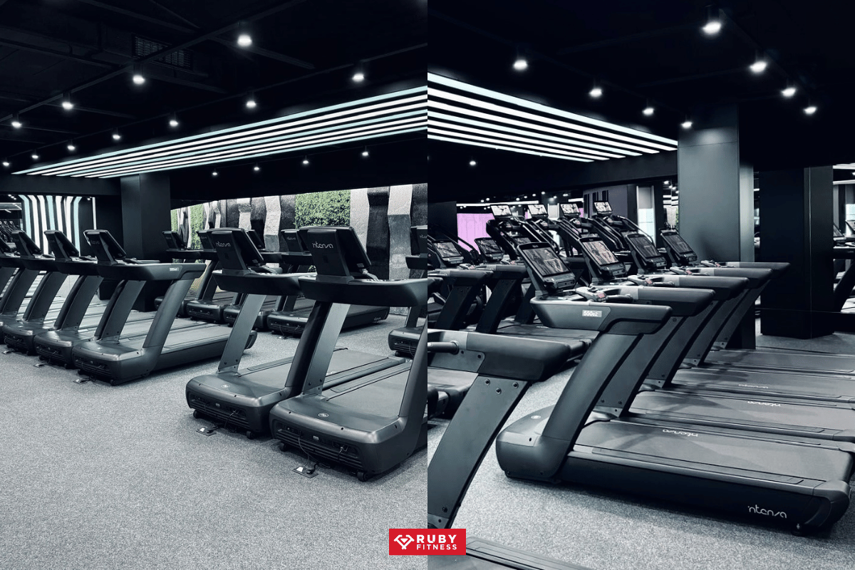 Máy chạy bộ Intenza 550 Series