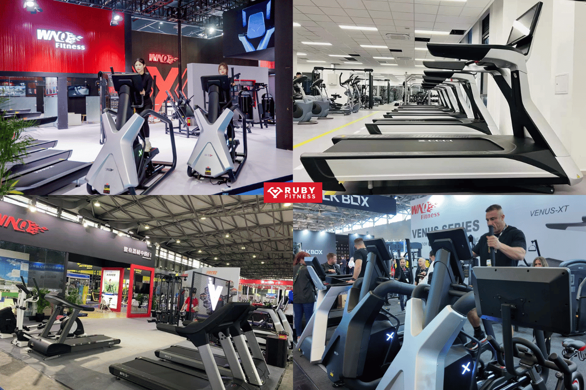 WNQ Fitness