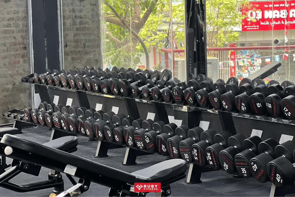 Lập báo cáo & tư vấn cho chủ phòng gym