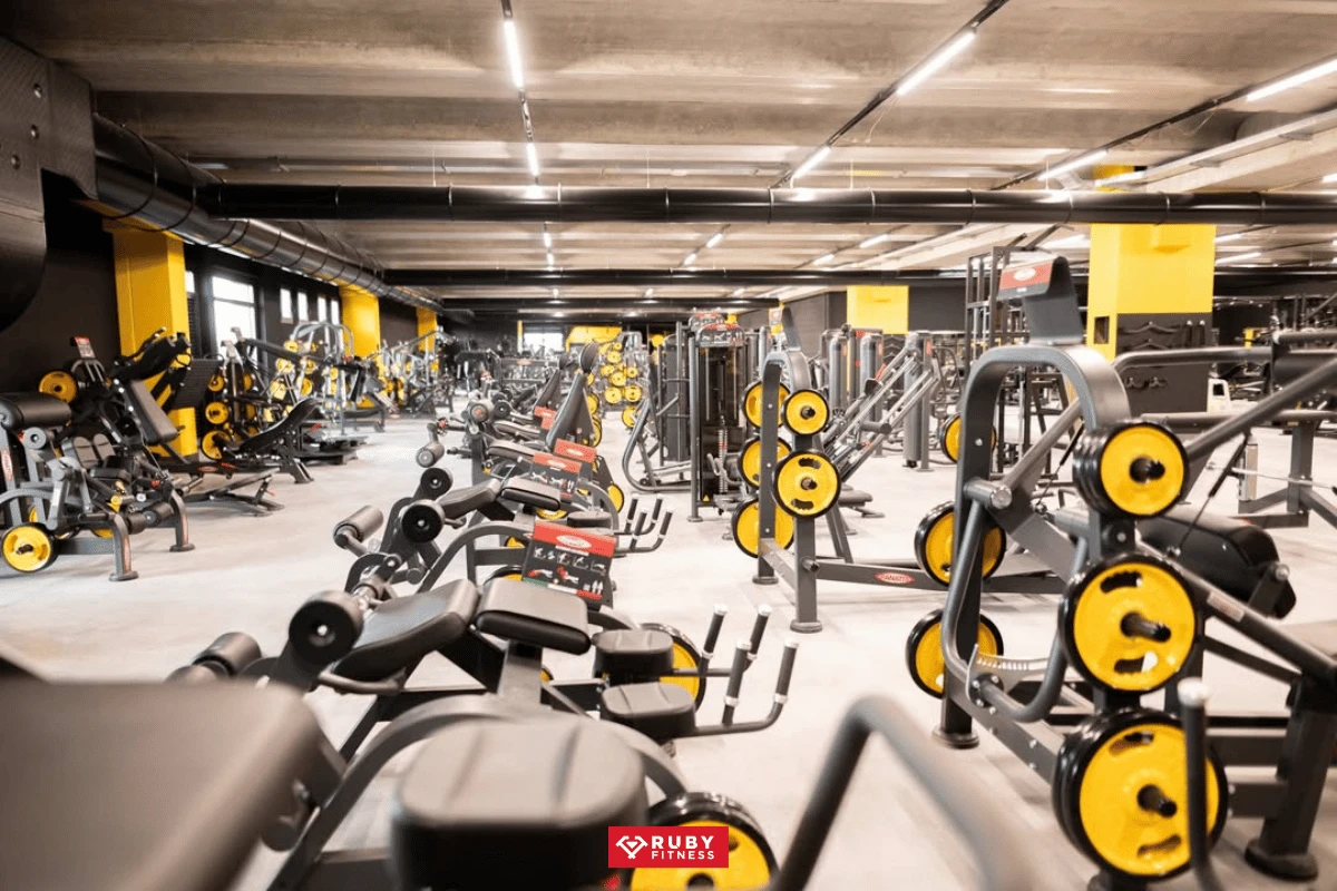 Tại sao kế hoạch tập luyện lại hữu ích cho người mới bắt đầu tại phòng gym