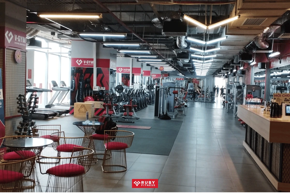 V GYM Fitness & Yoga