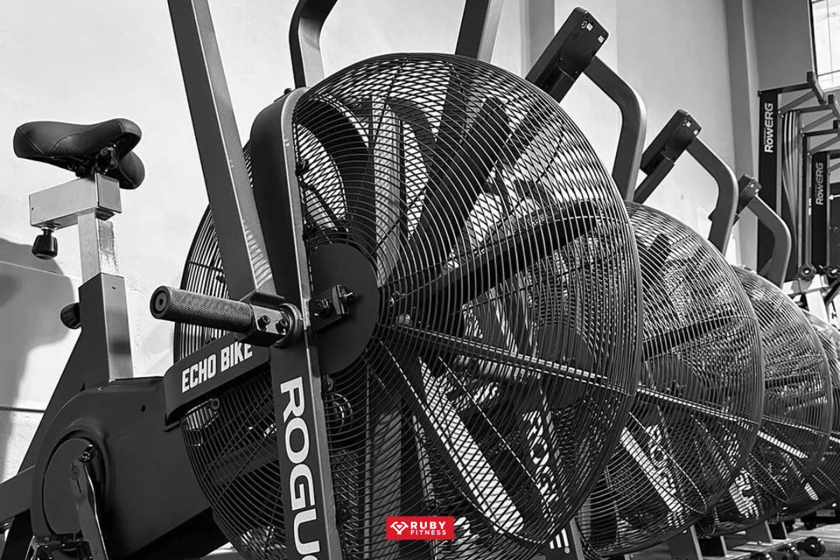 Hiệu quả tập luyện vượt trội