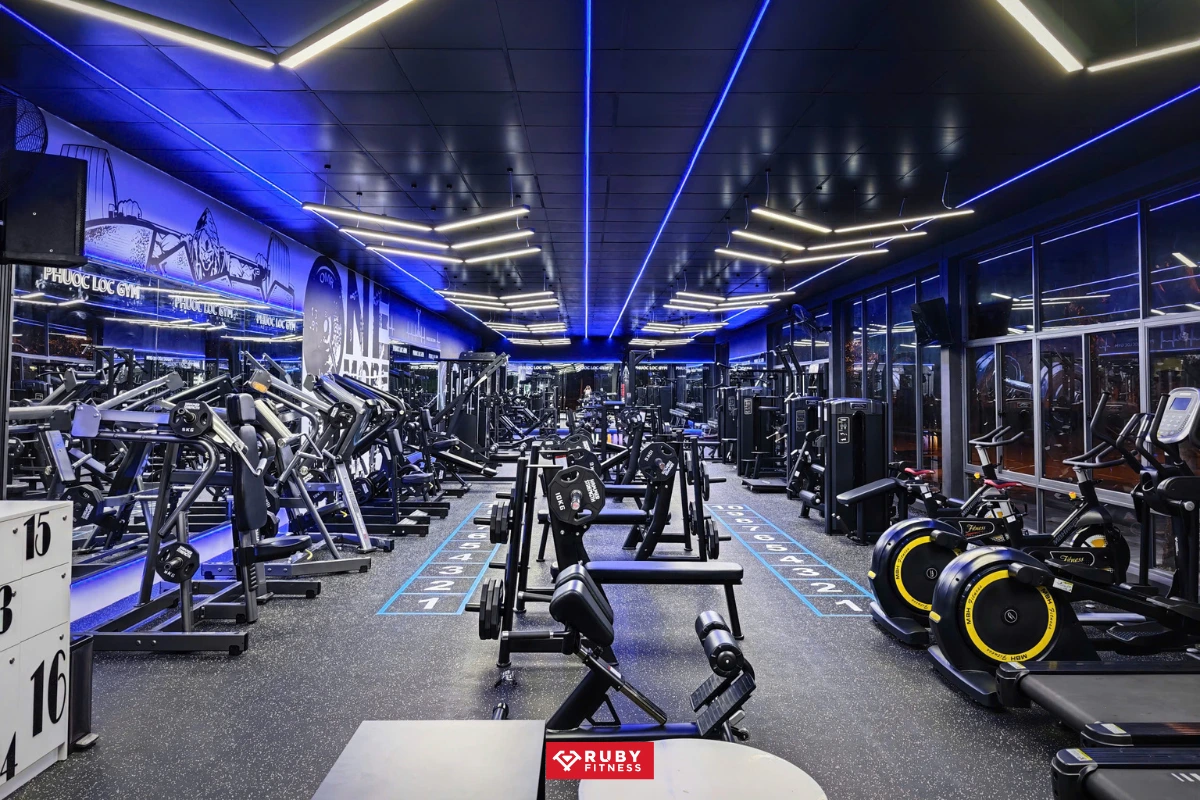 Lựa Chọn Thiết Bị Gym Chất Lượng