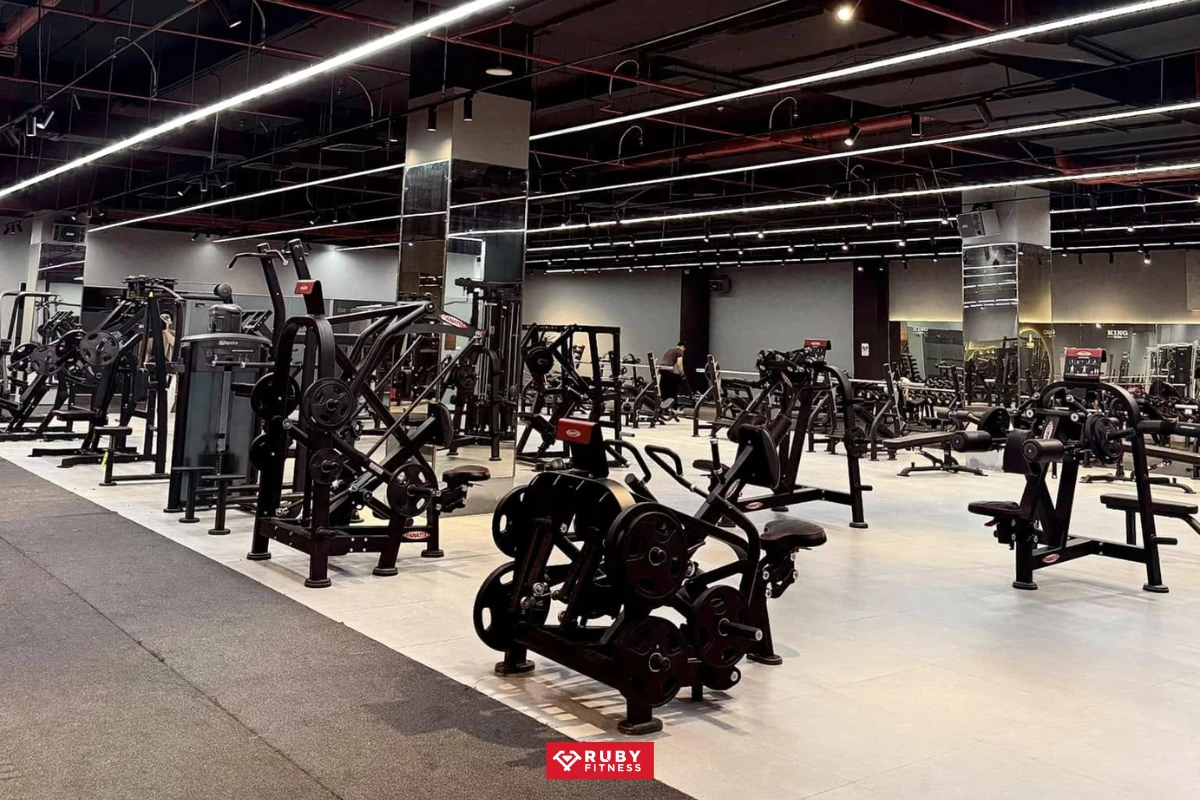Về King Gym tại Ocean Park
