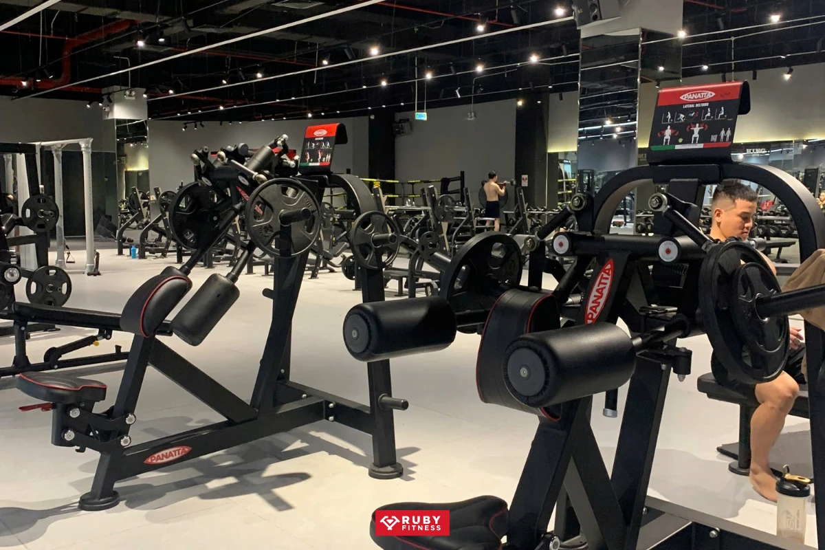 Vệ sinh – bảo dưỡng chi tiết king gym