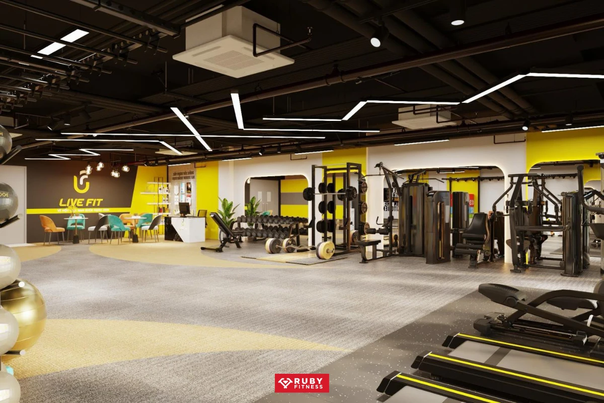 Vì sao chi phí đầu tư gym biến động mạnh giữa các mô hình