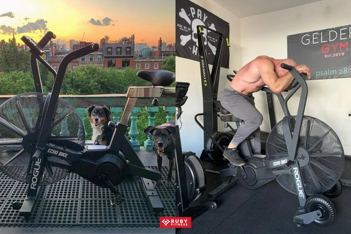 Xe đạp tập thể dục tại nhà Rogue Echo Bike V3
