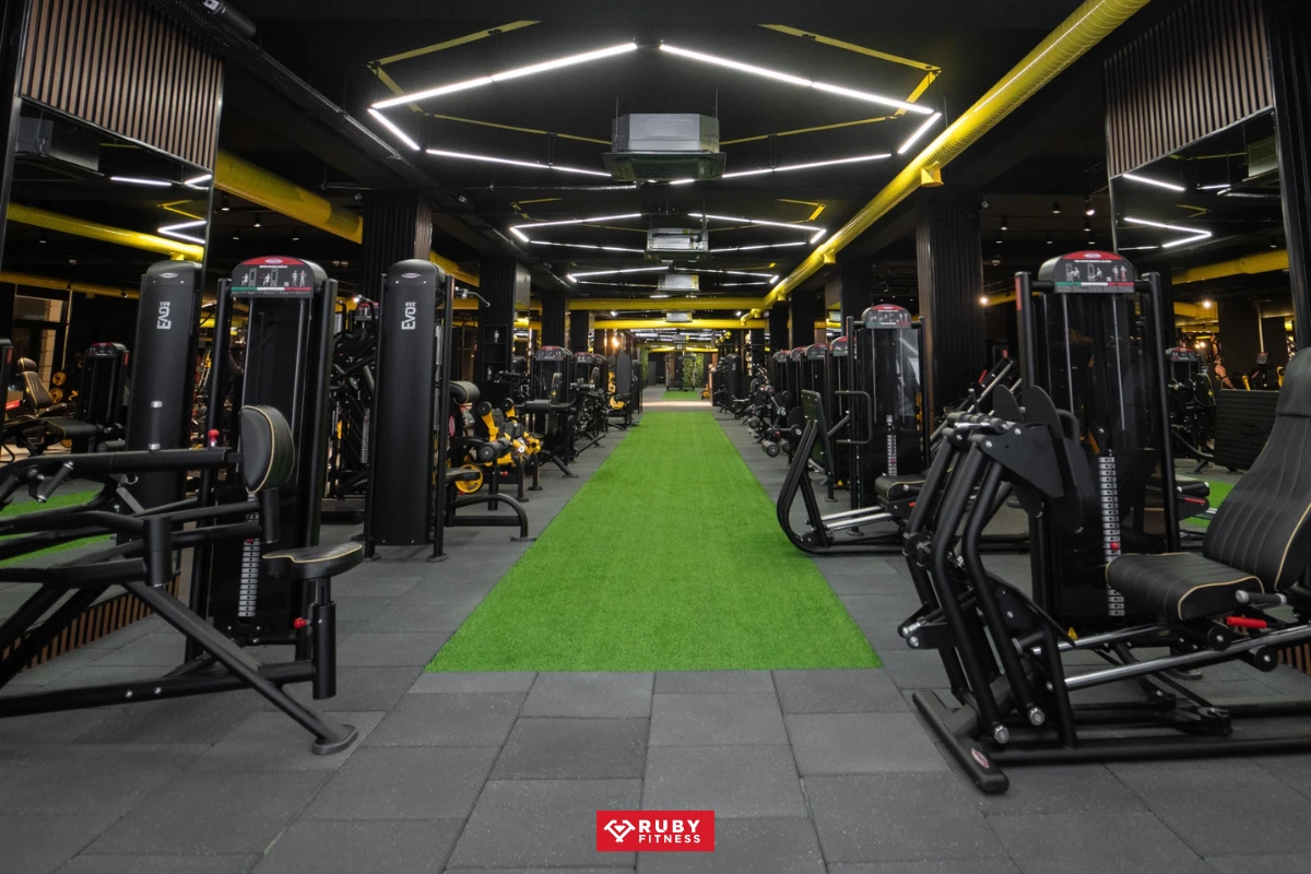 thiết bị gym