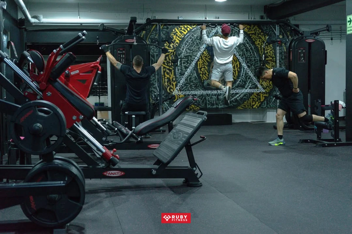 1000+ Mẫu Giàn tập tạ đa năng nhập khẩu