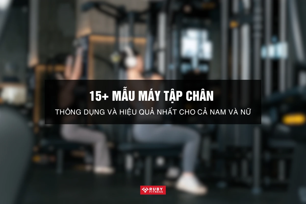 15+ Mẫu máy tập chân thông dụng và hiệu quả nhất cho cả nam và nữ