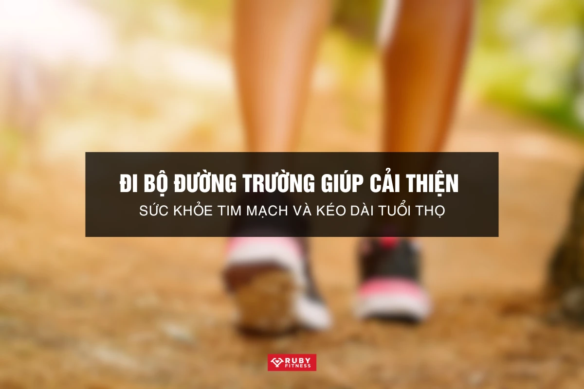 Đi Bộ Đường Trường Giúp Cải Thiện Sức Khỏe Tim Mạch Và Kéo Dài Tuổi Thọ