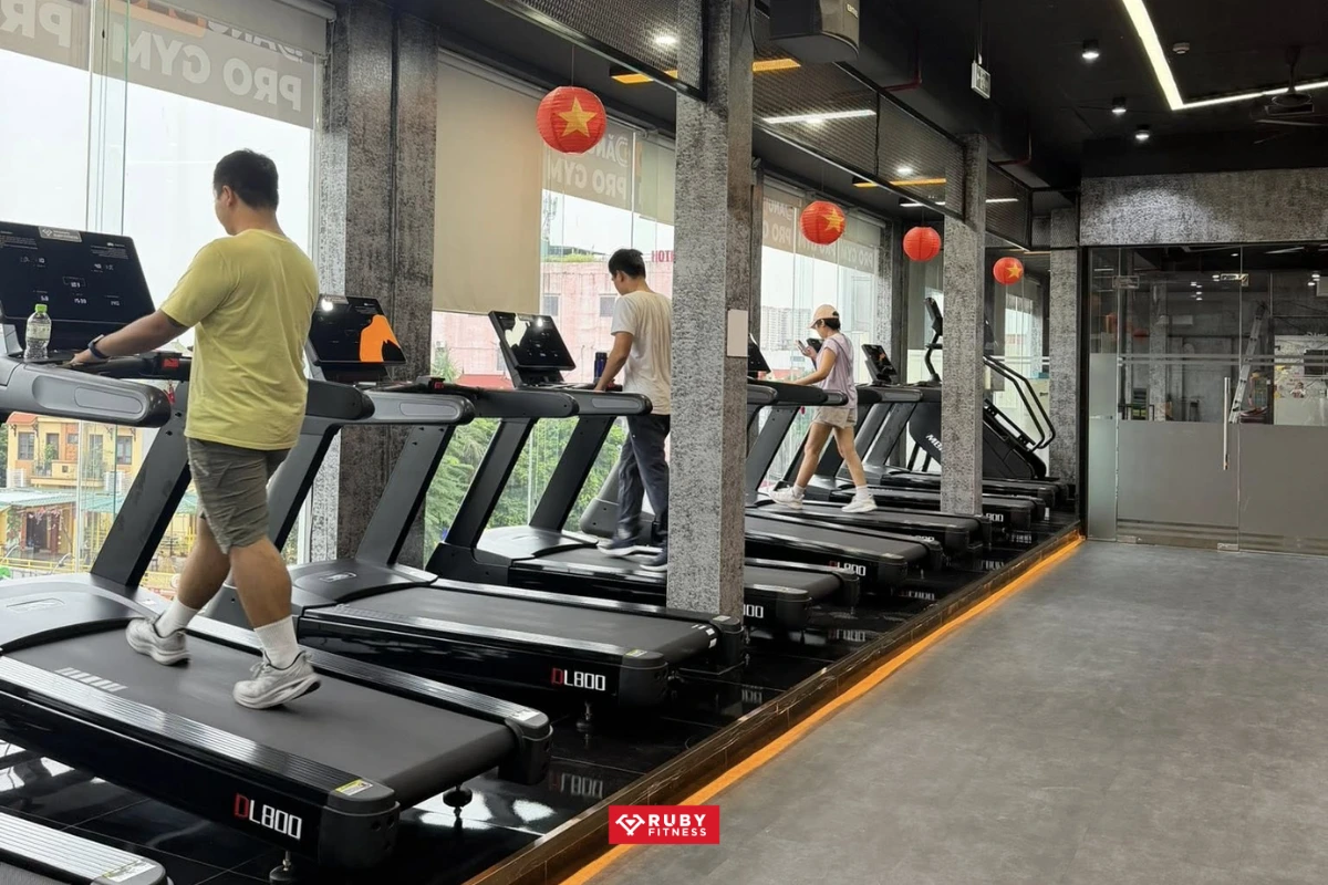 Setup dự án Đăng Béo Pro Gym tại Phúc Đồng Long Biên